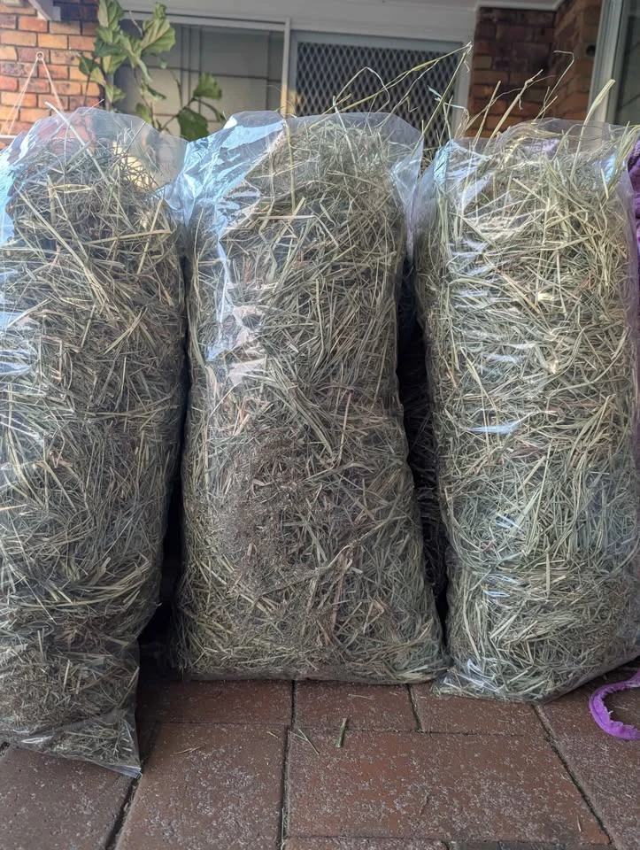 Our guinea pig hay bags sold for local pickup in Carindale
